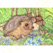 ‘Prickles’ - Print From Original Artwork - Wall Décor