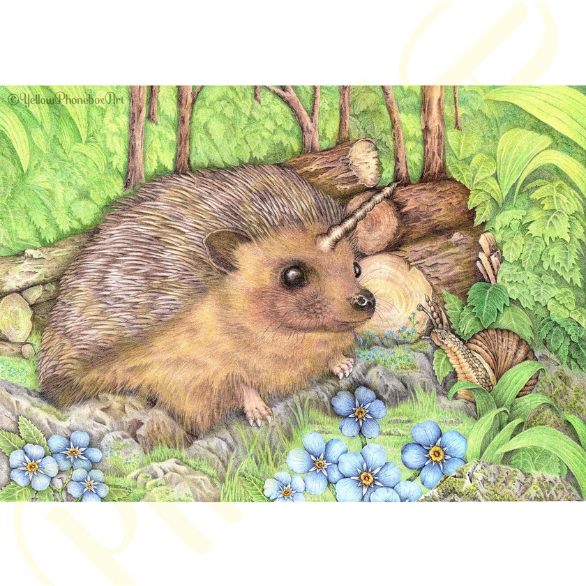 ‘Prickles’ - Print From Original Artwork - Wall Décor