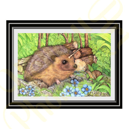 ‘Prickles’ - Print From Original Artwork - Wall Décor
