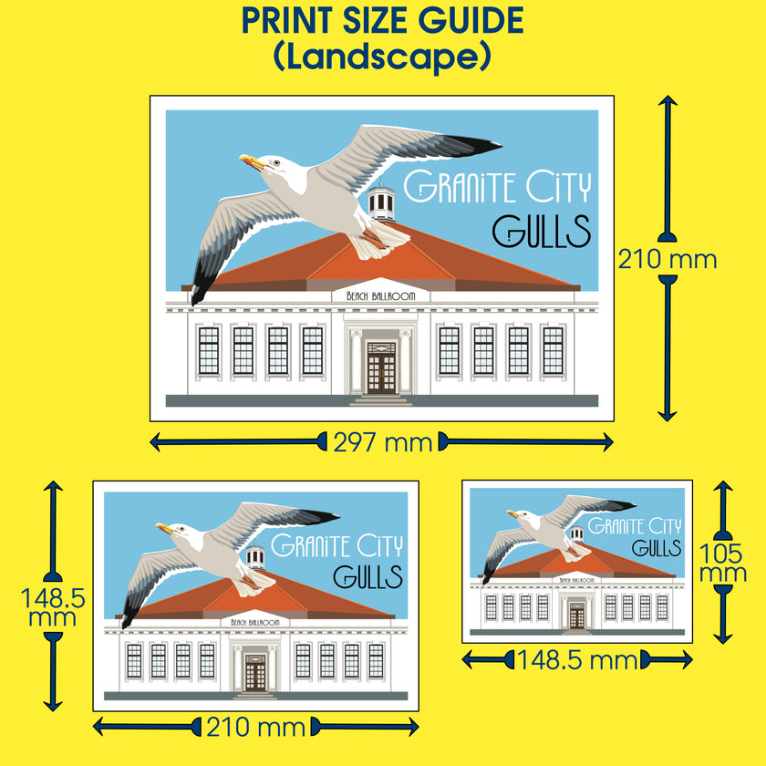 ‘Granite City Gulls’ - Art Print From Original Artwork