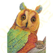 ‘Rainbow Owl And The Unicorn Snail’ - Print From Original Artwork