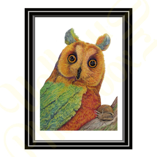 ‘Rainbow Owl And The Unicorn Snail’ - Print From Original Artwork - Wall Décor