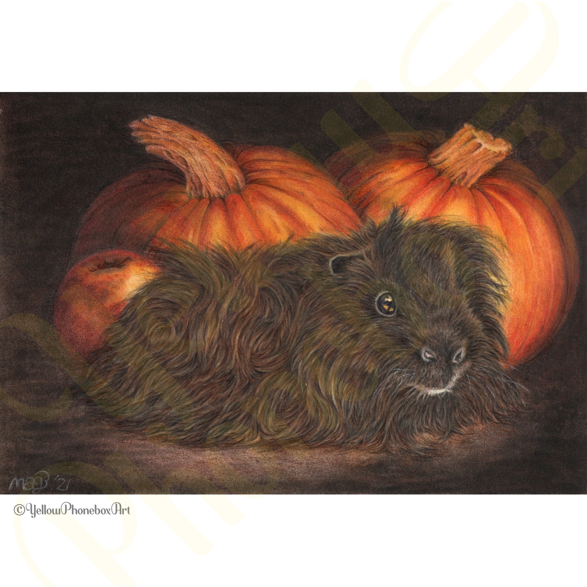 ‘Something Fluffy This Way Comes’ - Print From Original Artwork