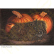 ‘Something Fluffy This Way Comes’ - Print From Original Artwork